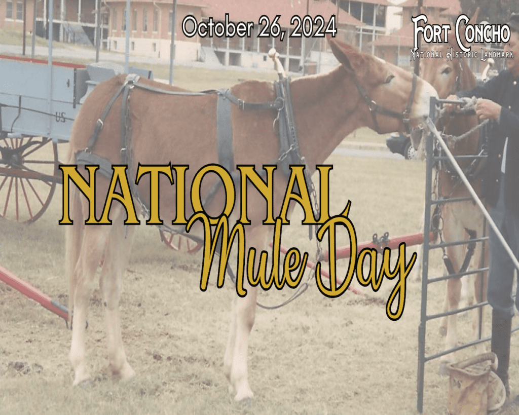 National Mule Day at Fort Concho Historical Landmark